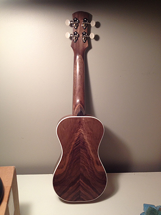 Spruce and walnut ukulele with white bindings back view highlighting nice figure